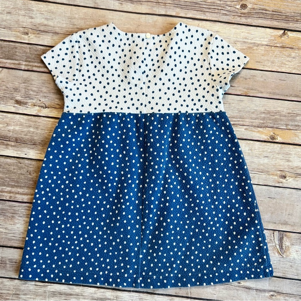 Zara Textured Polka Dot Dress - Picture 6 of 7